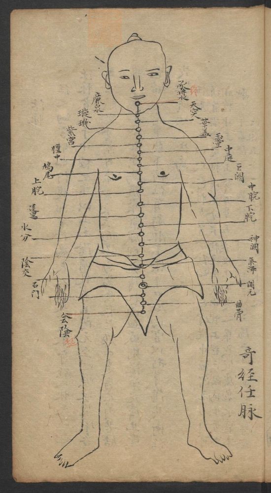 经穴指南(第51页)