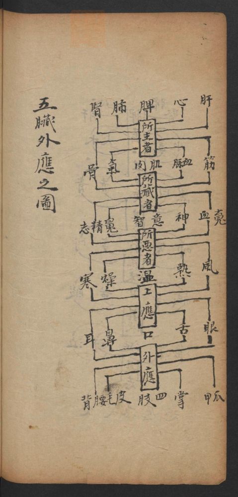 脉诀精选(第72页)