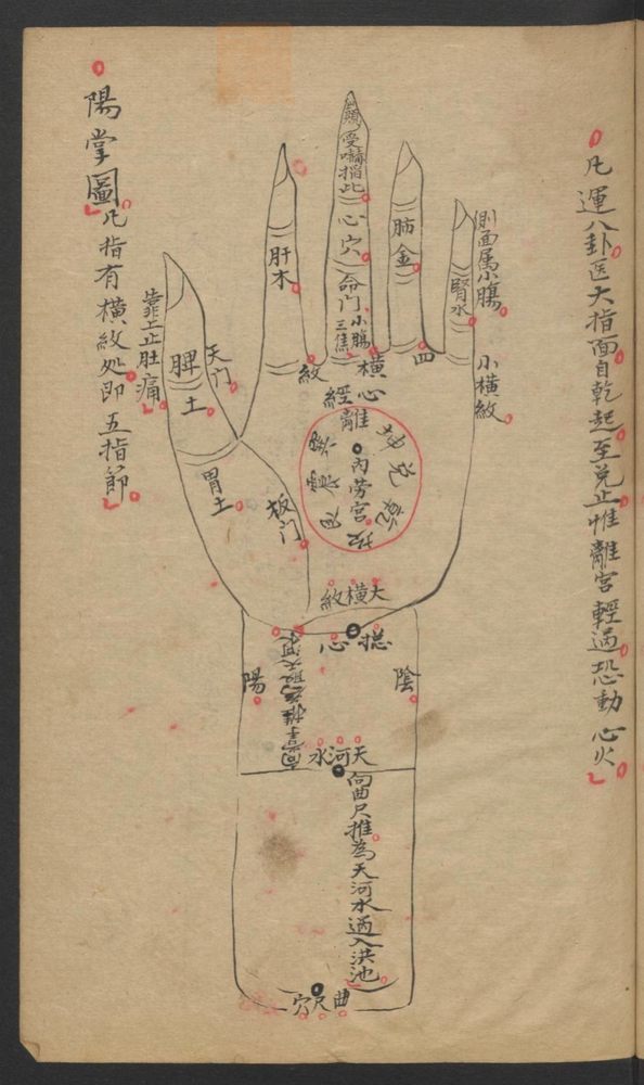 图本小儿科金鉴(第87页)