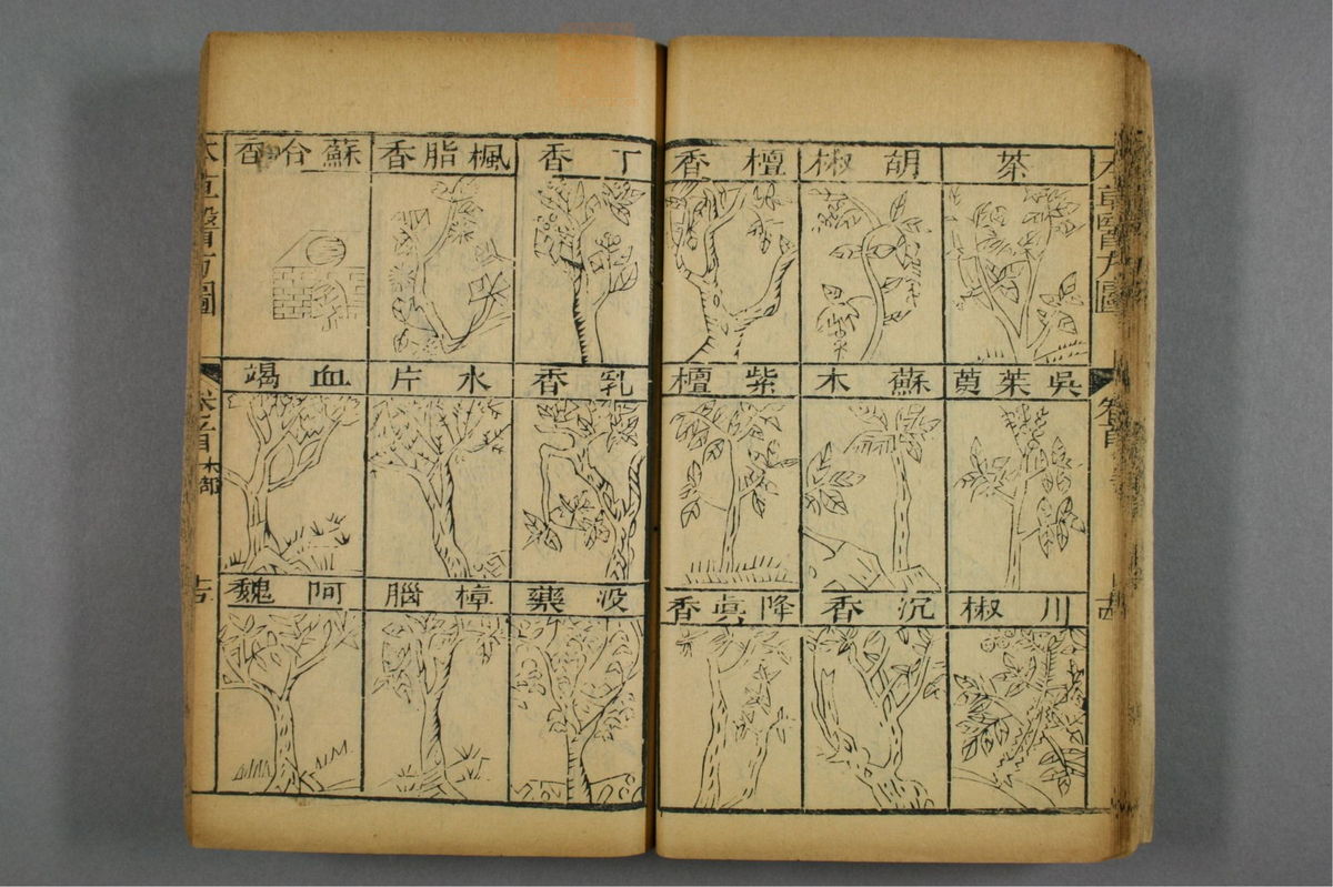 图注本草医方合编(第47页)