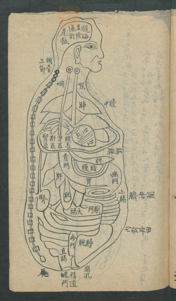 外科图形法治(第11页)