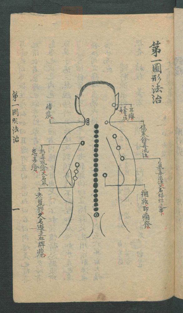 外科图形法治(第21页)