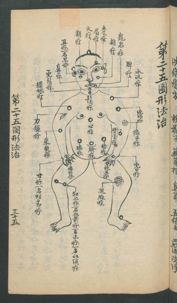 外科图形法治(第229页)