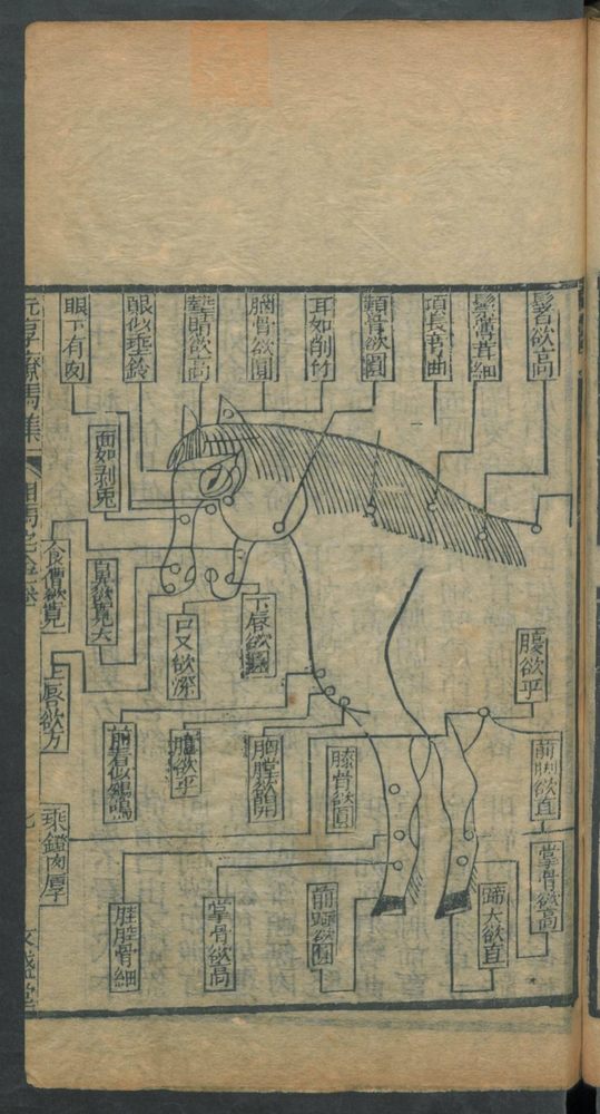 新刊纂像素亨疗马集6卷(第29页)