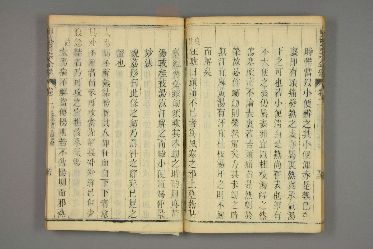 御纂医宗金鉴(第193页)