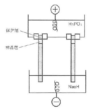 IEF装置与标本溶液的装置（园盘电泳）