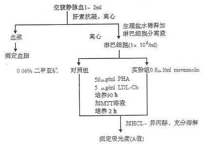 MTT比色法检测LDL-R操作流程