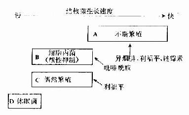 病灶中不同生长速度的菌群组成与杀菌药物作用示意图