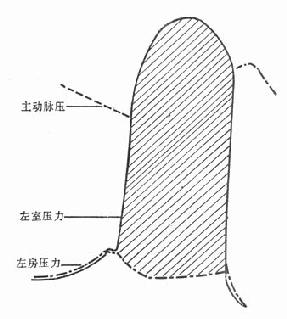 心脏收缩的张力、时间指数