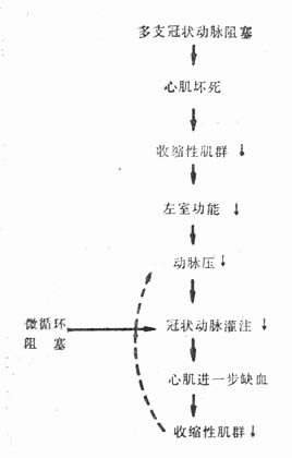 冠状动脉阻塞引起心源性休克和进行性循环衰竭的恶性循环