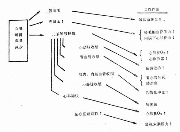 心肌梗死合并休克的恶性循环