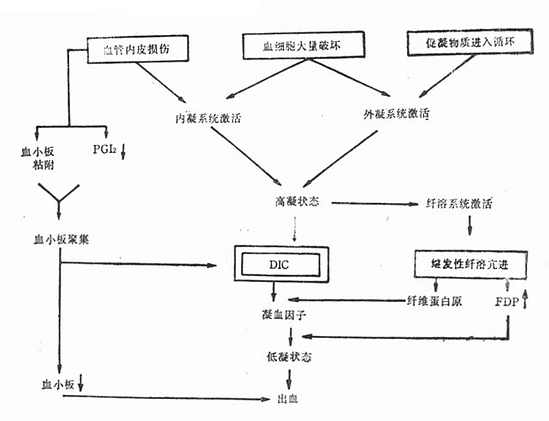 DIC发生机理