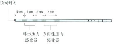 Castell测压导管