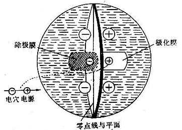 电位在容积导电体内的正负电场示意图