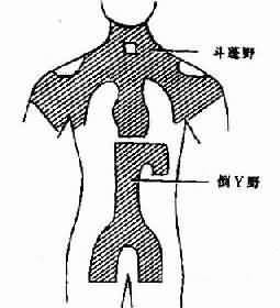 斗逢野及倒丫野